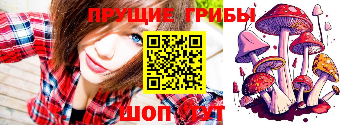 Галлюциногенные грибы Cubensis  Вход с VPN  наркошоп  Чита 